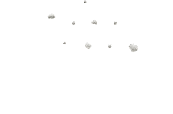 salt-1