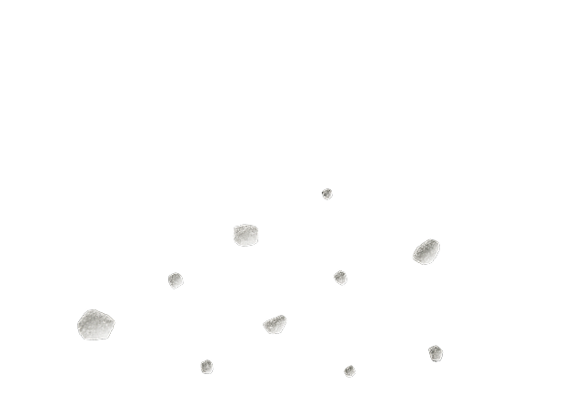 salt-2